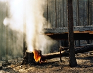 Wildfire #22, Moonlight Fire, Plumas National Forest, CA