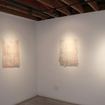 Charlene Liu - Everywhere Close To Me - Taylor De Cordoba - Installation View #5